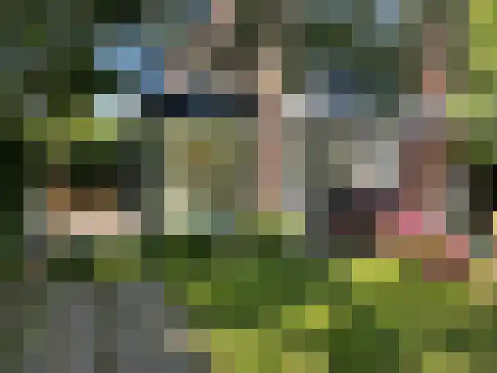 Stepelerveld 83 Nieuw-Vennep thumbnail 5
