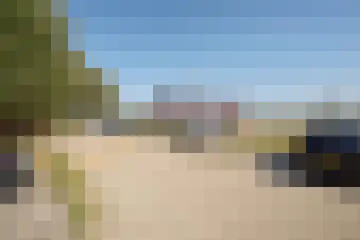 Stepelerveld 83 Nieuw-Vennep thumbnail 51