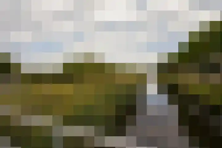 Stepelerveld 83 Nieuw-Vennep thumbnail 52