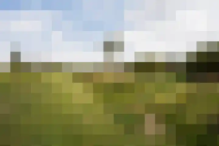 Stepelerveld 83 Nieuw-Vennep thumbnail 53