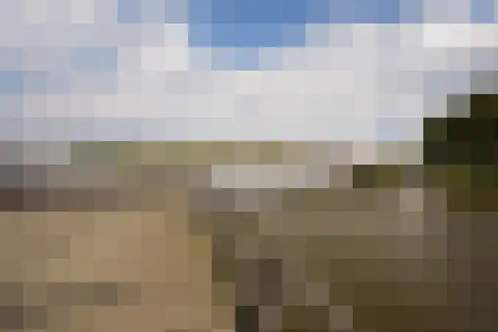 Stepelerveld 83 Nieuw-Vennep thumbnail 54