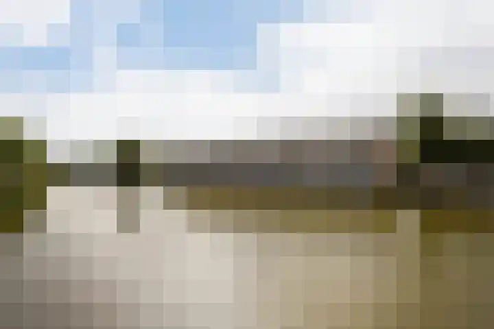 Stepelerveld 83 Nieuw-Vennep thumbnail 55