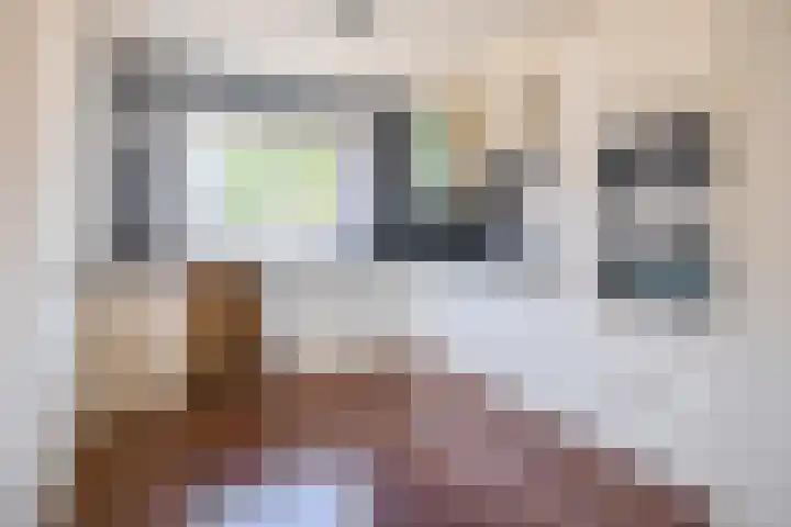Stephan Hanewinkellaan 20 Nuenen thumbnail 17