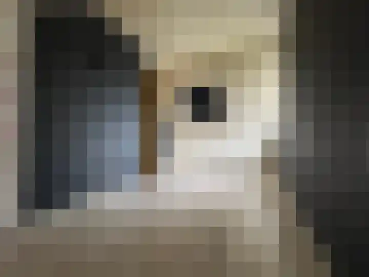 Stephan Hanewinkellaan 20 Nuenen thumbnail 29