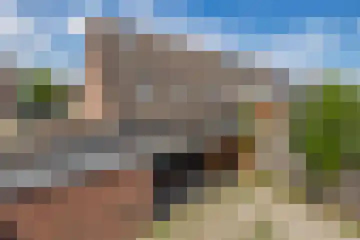 Stephan Hanewinkellaan 20 Nuenen thumbnail 38