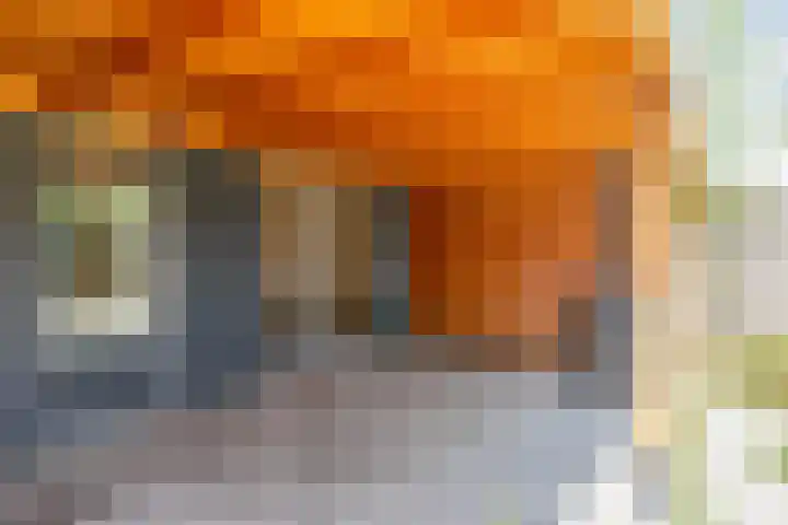 Stephan Hanewinkellaan 20 Nuenen thumbnail 4