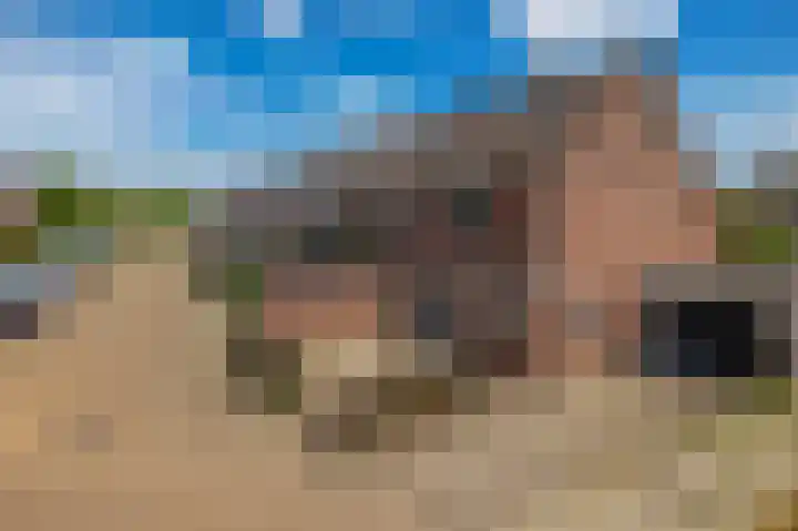 Stephan Hanewinkellaan 20 Nuenen thumbnail 6