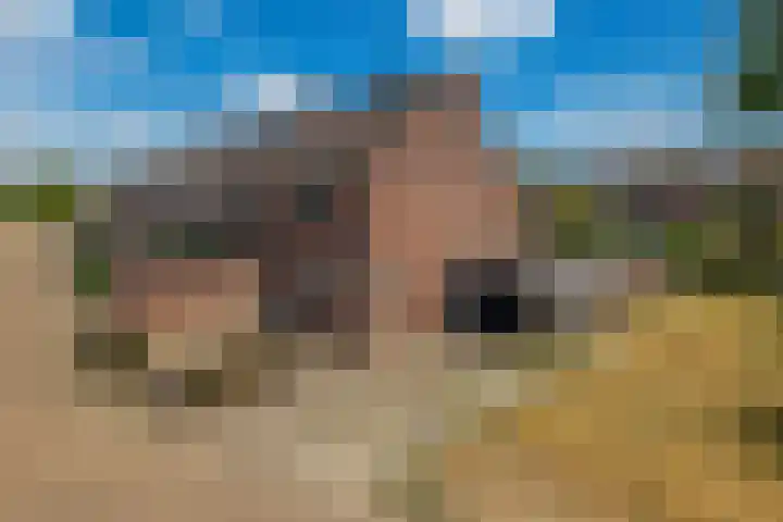 Stephan Hanewinkellaan 20 Nuenen thumbnail 7