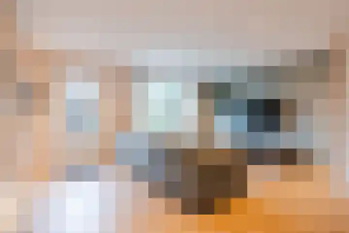Stephan Hanewinkellaan 42 Nuenen thumbnail 15
