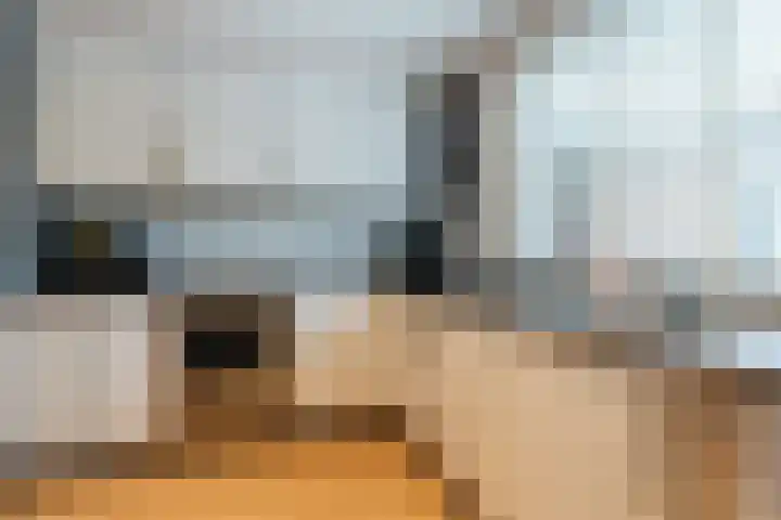 Stephan Hanewinkellaan 42 Nuenen thumbnail 17