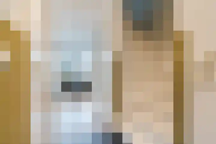 Stephan Hanewinkellaan 42 Nuenen thumbnail 8