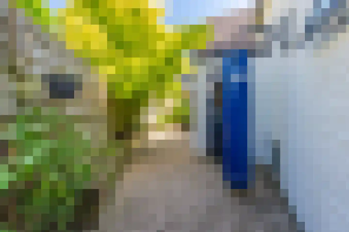 Stephanieweg 21 Oosterbeek thumbnail 30