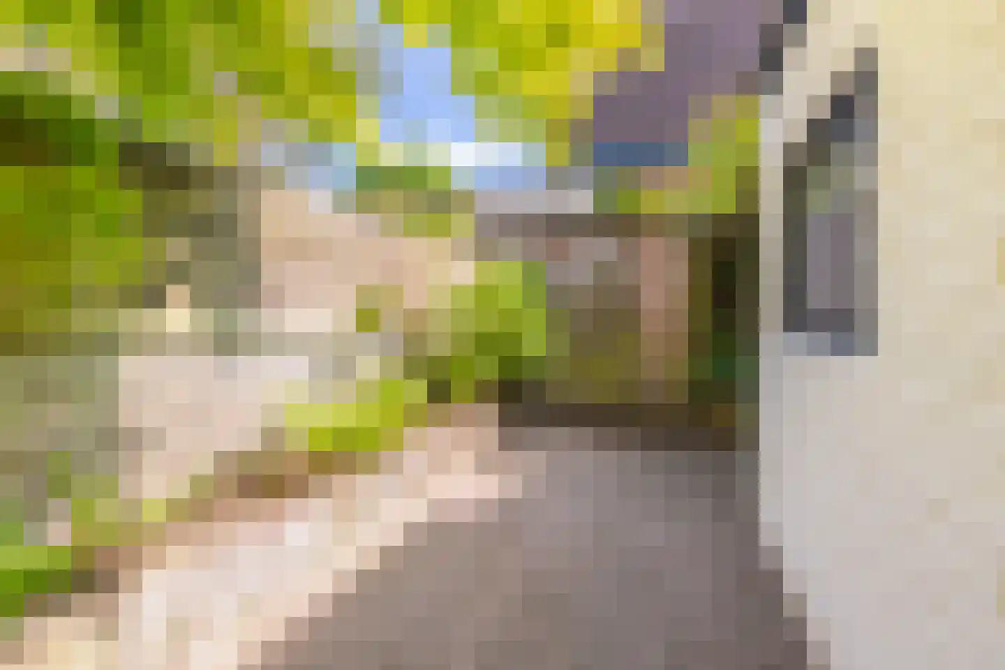 Stephanieweg 21 Oosterbeek thumbnail 31