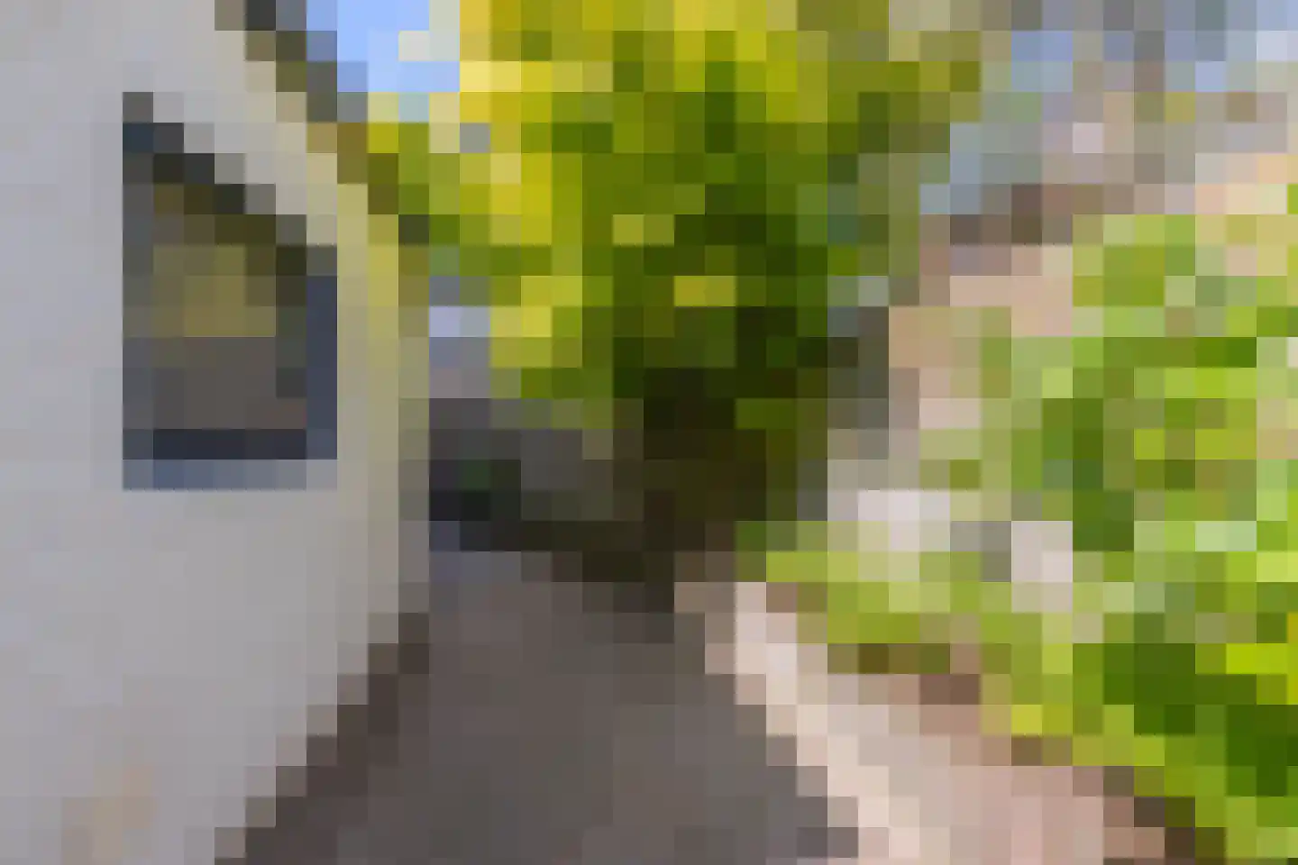 Stephanieweg 21 Oosterbeek thumbnail 32