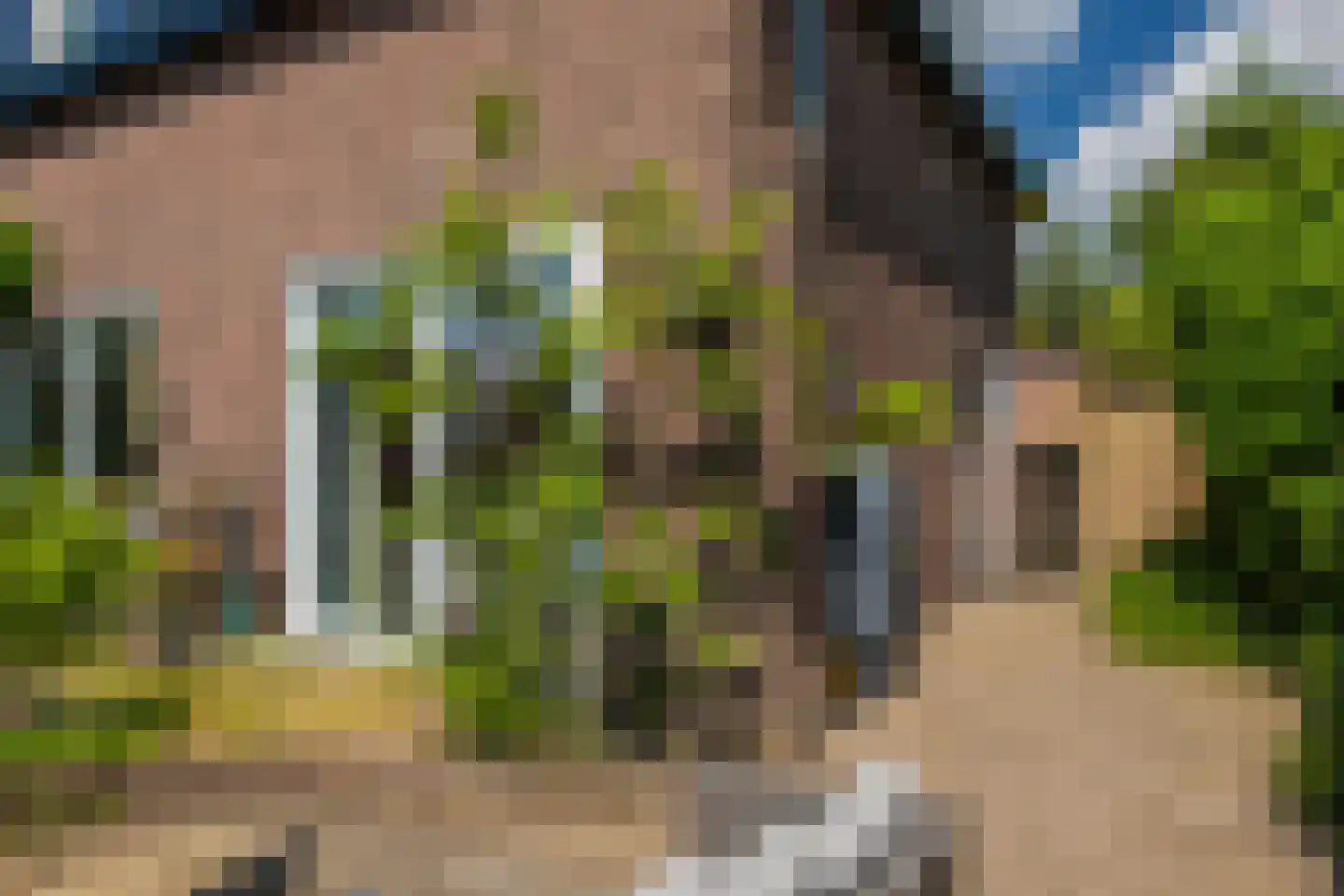 Stephanieweg 21 Oosterbeek thumbnail 6