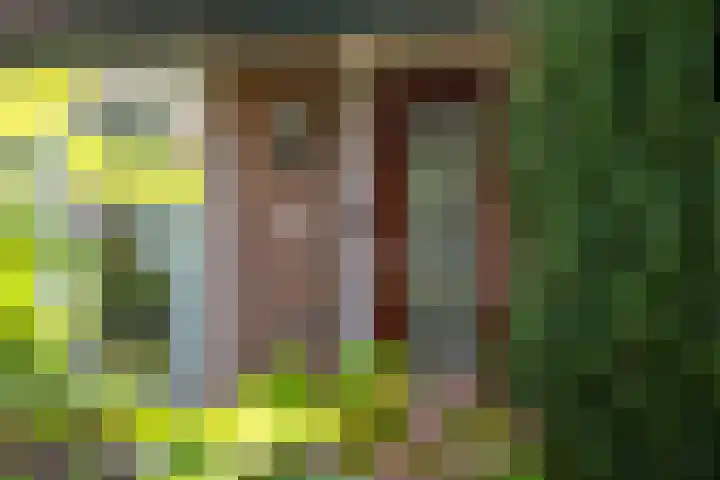 Stephanieweg 6 Oosterbeek thumbnail 4
