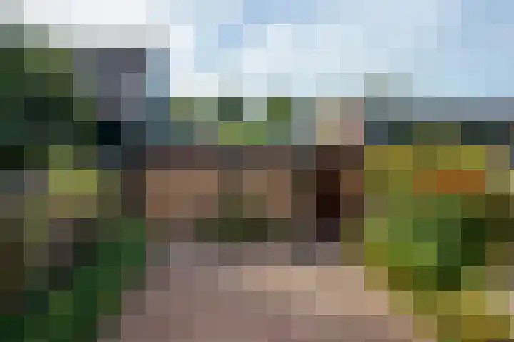 Stephanieweg 6 Oosterbeek thumbnail 51