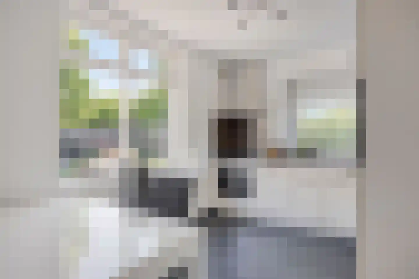 Stephanusdonk 6 Roosendaal thumbnail 11