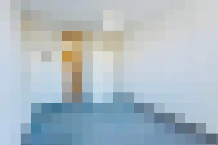 Stephanushof 12 Heel thumbnail 13
