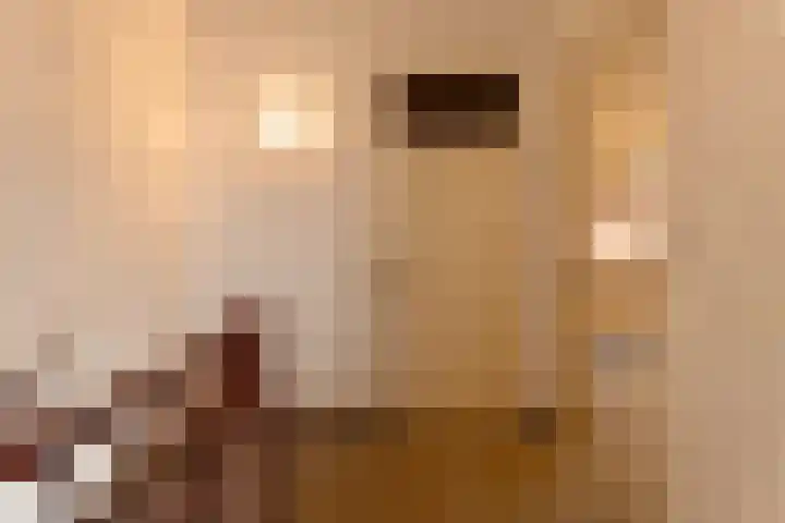 Stephanushof 12 Heel thumbnail 18