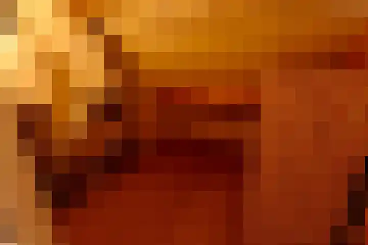 Stephanushof 12 Heel thumbnail 19