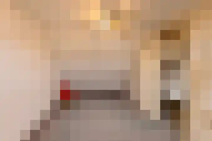 Stephanushof 12 Heel thumbnail 21