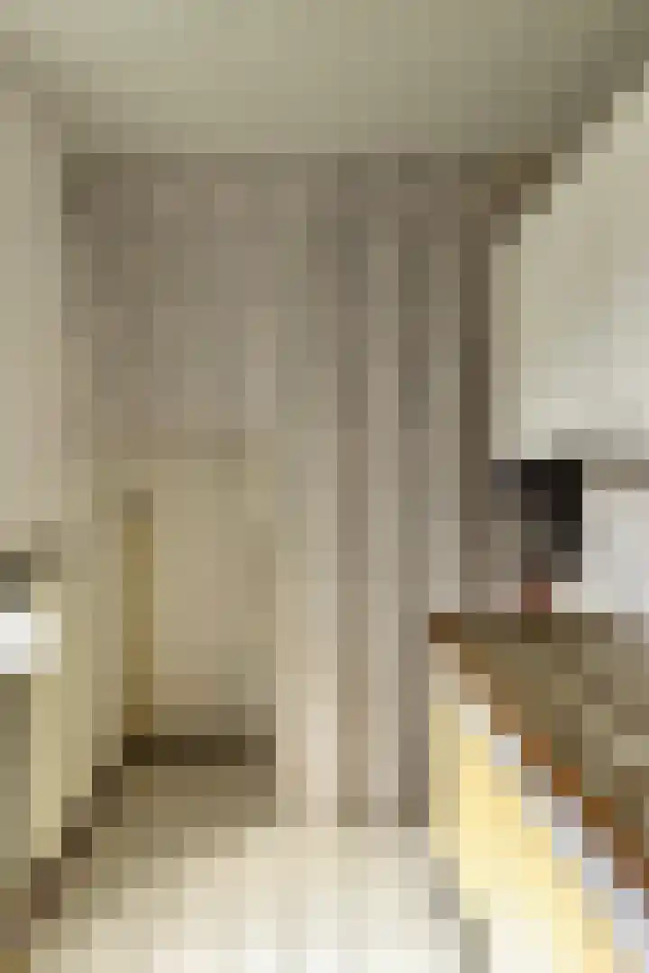 Stephanushof 12 Heel thumbnail 7