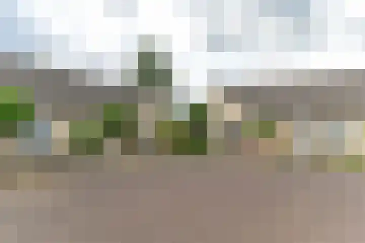 Stephanushof 13 Heel thumbnail 32