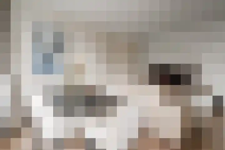 Stephensonlaan 56 Hilversum thumbnail 13