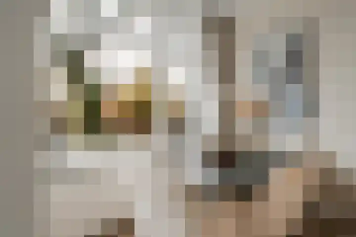 Stephensonlaan 56 Hilversum thumbnail 15