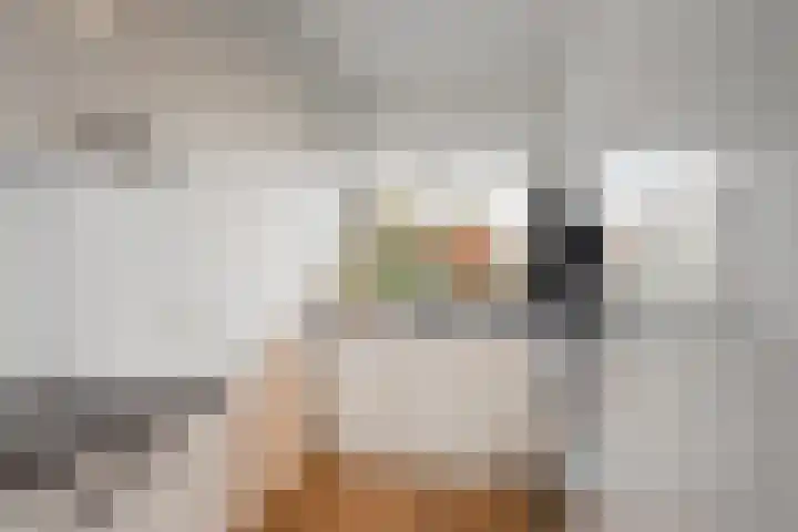 Stephensonlaan 56 Hilversum thumbnail 22