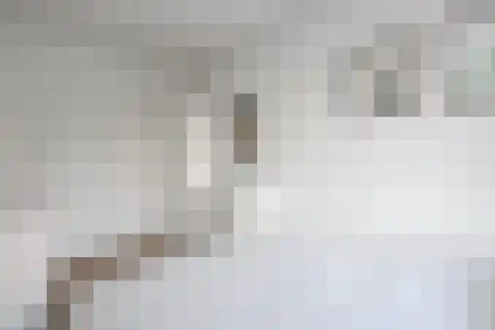 Stephensonlaan 56 Hilversum thumbnail 34