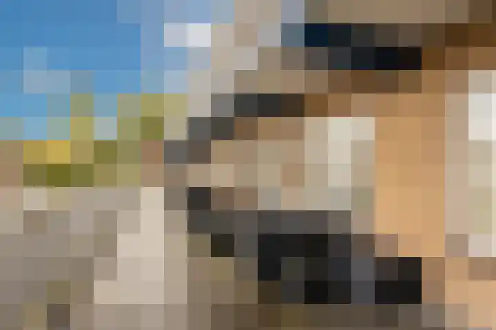 Stephensonlaan 56 Hilversum thumbnail 37