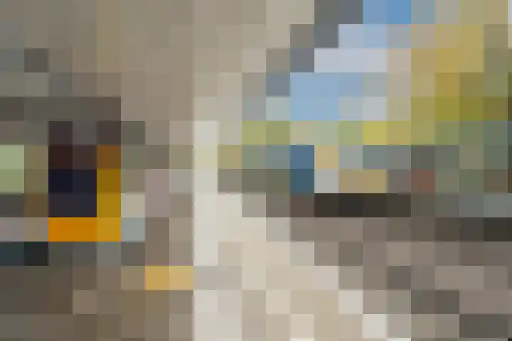 Stephensonlaan 56 Hilversum thumbnail 44