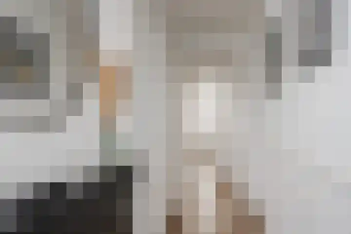 Stephensonlaan 56 Hilversum thumbnail 6