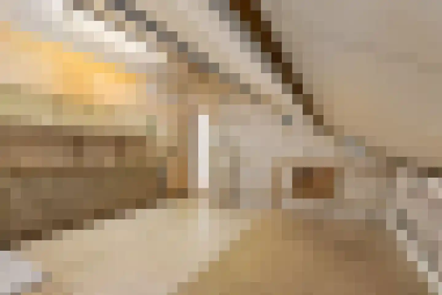 Stephensonlaan 57 Hilversum thumbnail 36