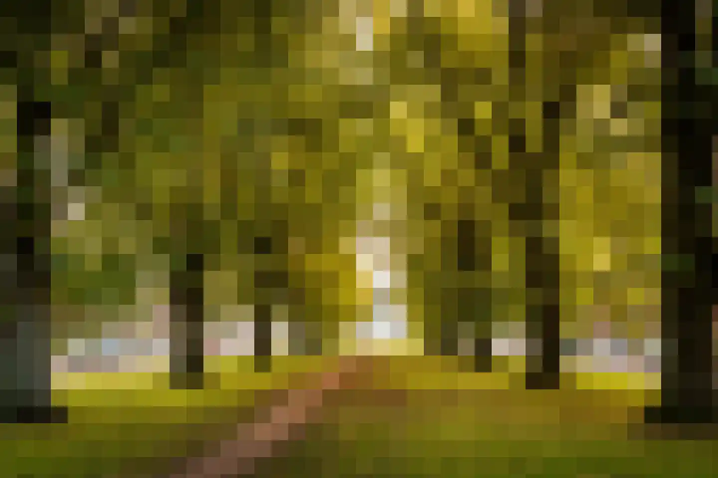 Stephensonstraat 13 BS Utrecht thumbnail 31