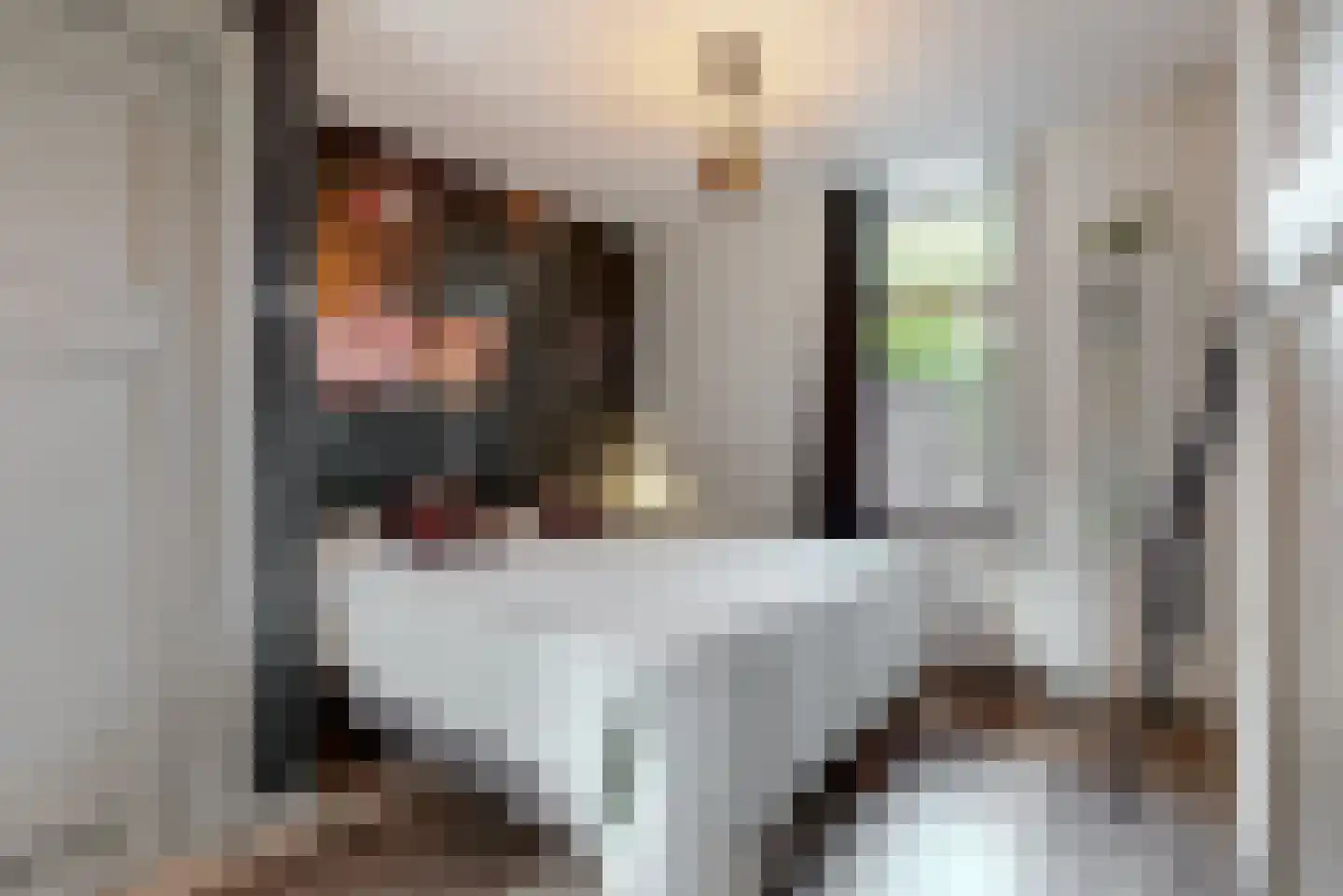 Stephensonstraat 13 Utrecht thumbnail 18