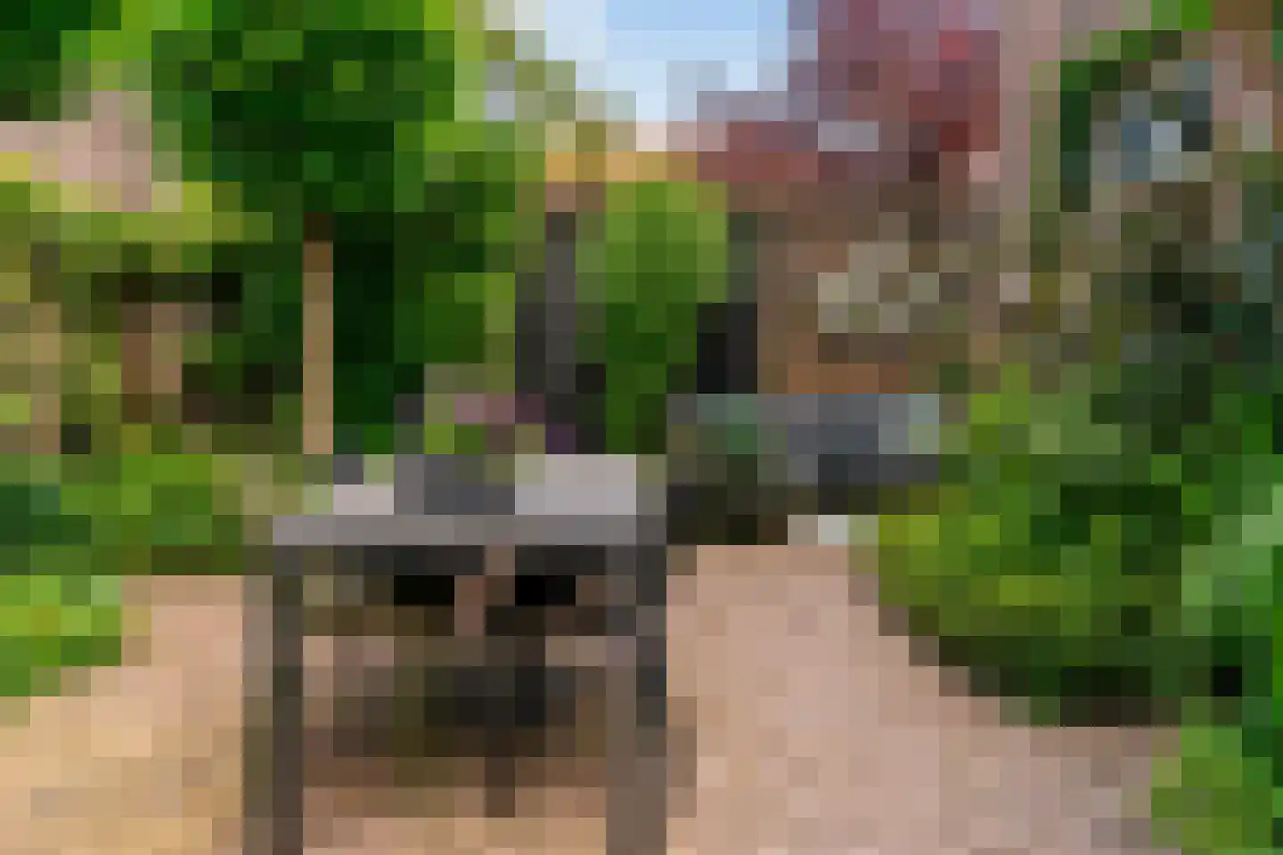 Stephensonstraat 13 Utrecht thumbnail 31