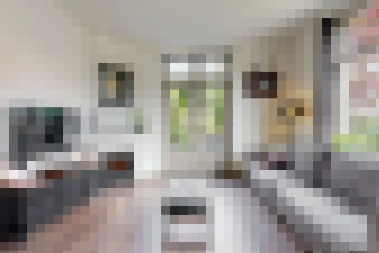 Stephensonstraat 13 Utrecht thumbnail 7