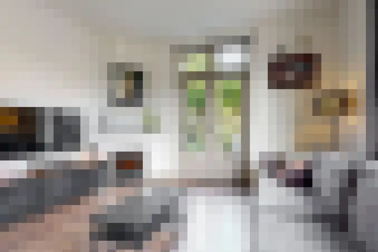 Stephensonstraat 13 Utrecht thumbnail 8
