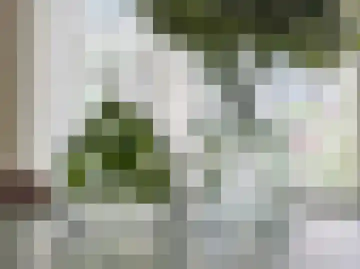 Stephensonstraat 18 Hengelo thumbnail 18