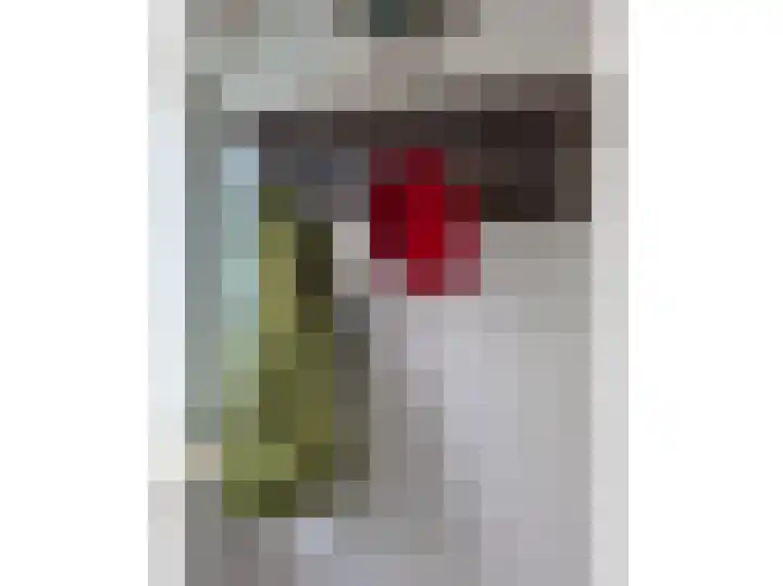 Stephensonstraat 18 Hengelo thumbnail 34