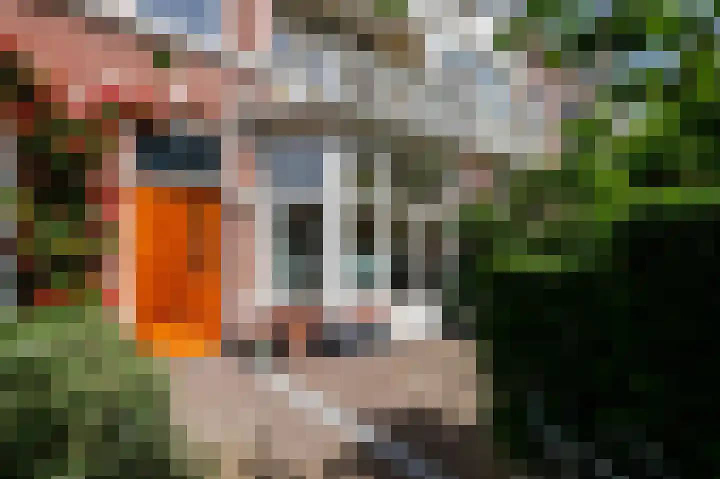 Stephensonstraat 25 Den Haag thumbnail 4