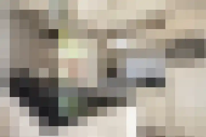 Stephensonstraat 26 Hengelo thumbnail 12