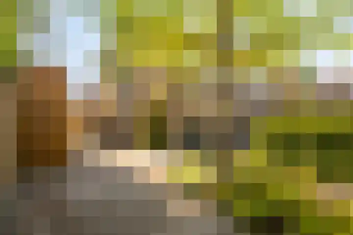 Stephensonstraat 26 Hengelo thumbnail 21