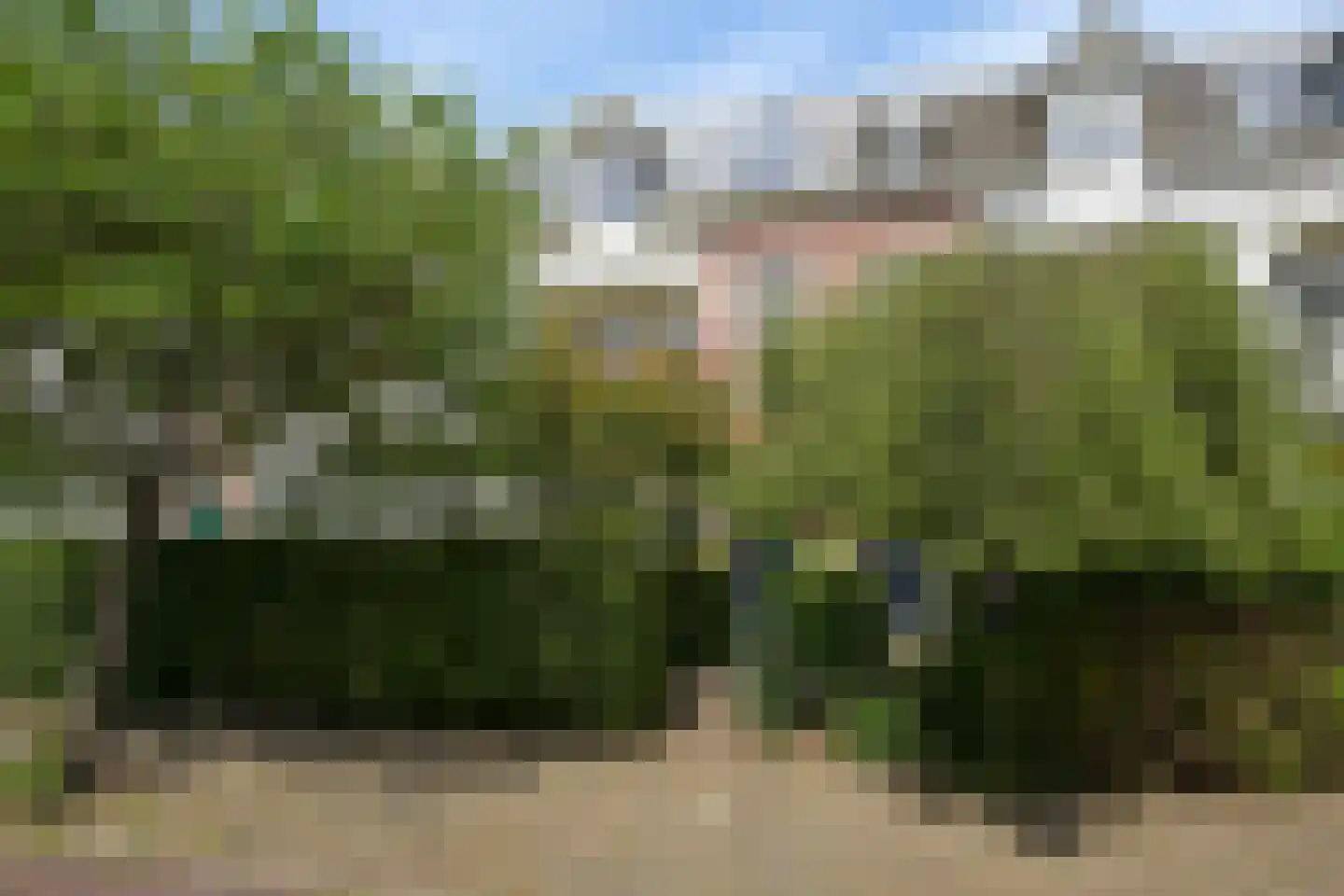 Stephensonstraat 31 Den Haag thumbnail 4