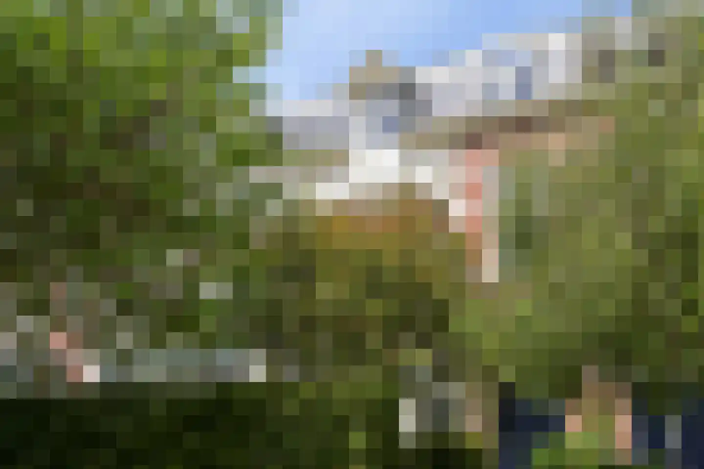 Stephensonstraat 31 Den Haag thumbnail 5