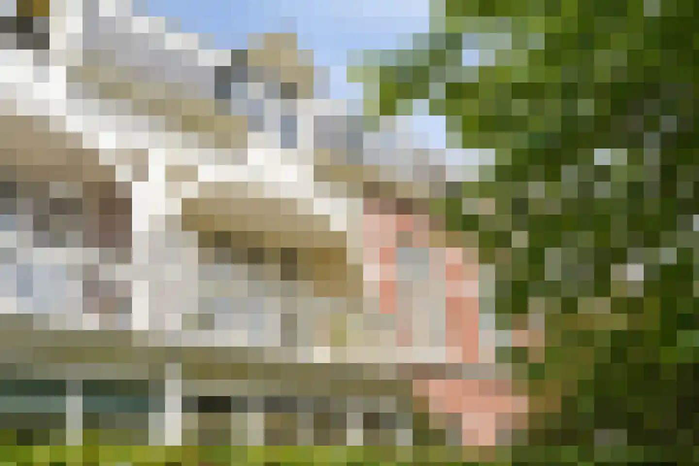 Stephensonstraat 31 Den Haag thumbnail 6