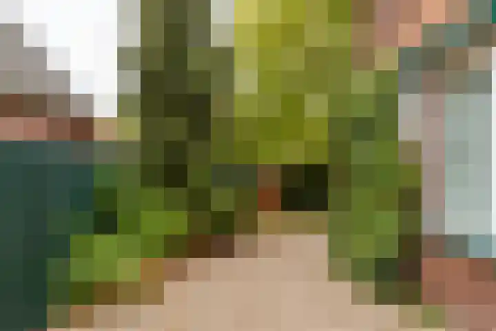 Stephensonstraat 4 Utrecht thumbnail 13